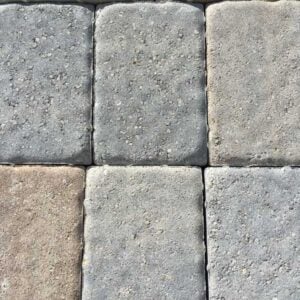 Island Palm Paver