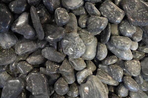 Black Mexican Beach Pebbles