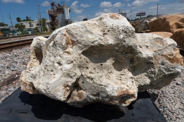 Cedar Key Field Stone - Image 2