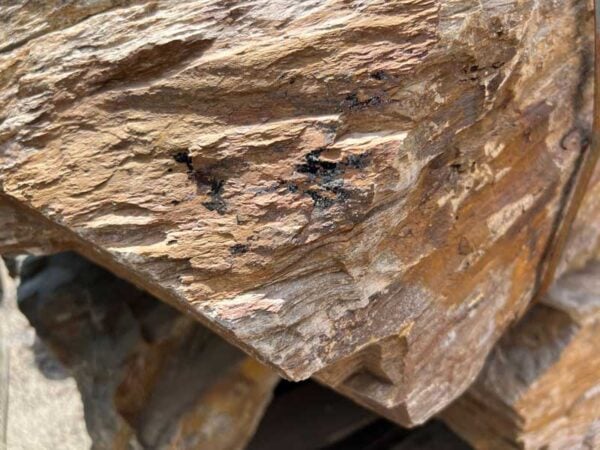 Caruba Caribbean Boulders - Image 3