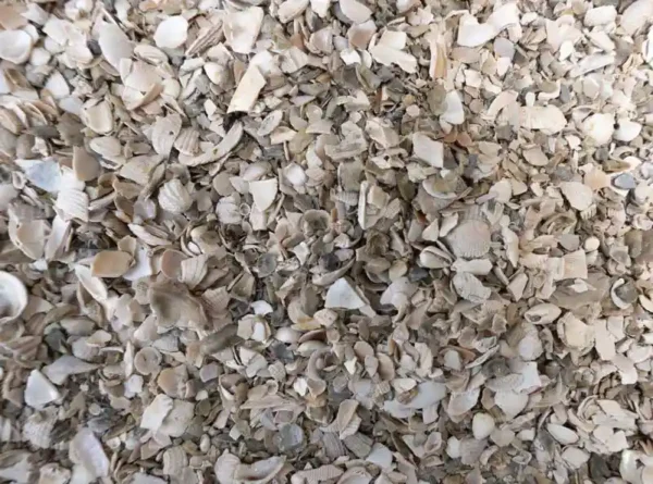 Fine Shell Screening