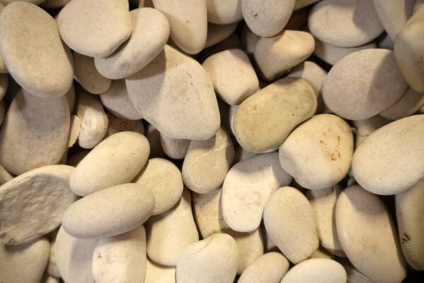 Saint Lucie Island White Beach Pebbles