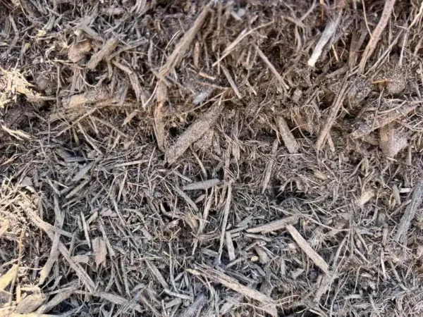Chocolate Mulch