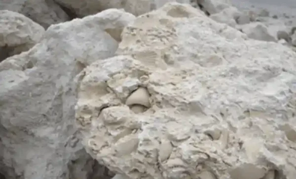 Coral Rock Marine Limestone
