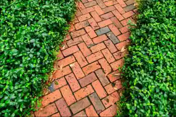 brick path
