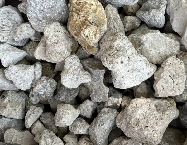 Yucatan Rock